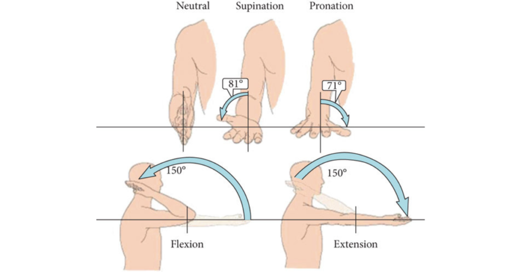 Range of motion tests for the elbow