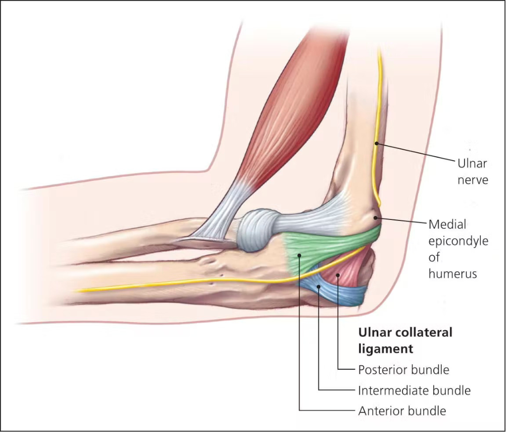 UCL diagram