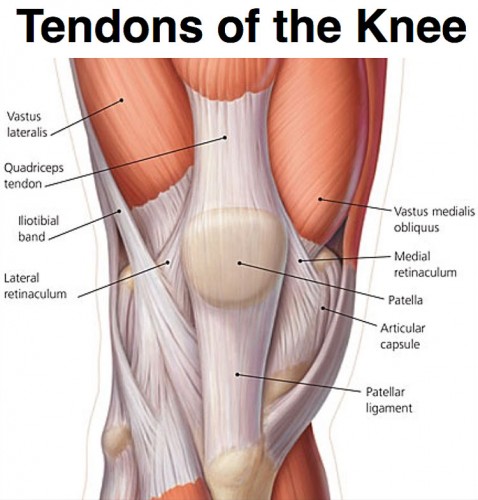 Running Injuries, Pt 1: Tricky Tendons